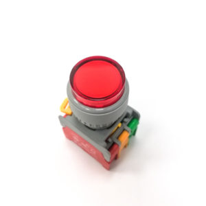 LXL22 Illuminated Push Button