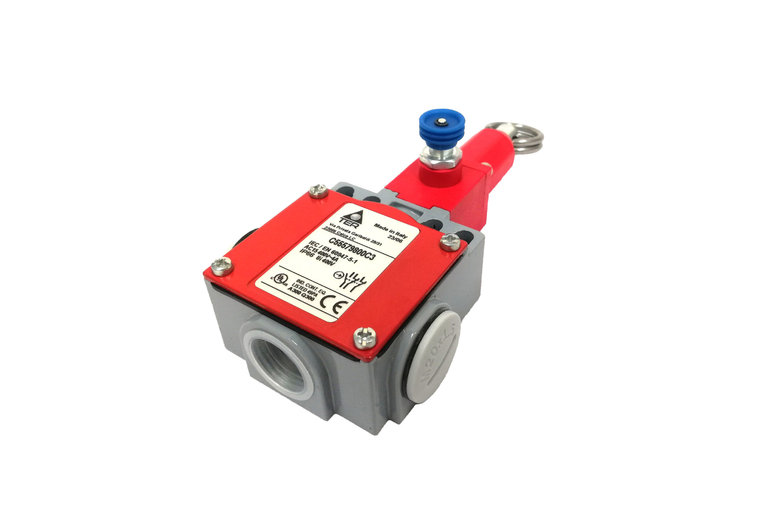 Rope Pull Limit Switch Resettable Type 1NO 2NC C55579800C3 TER